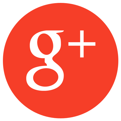 g+ icon